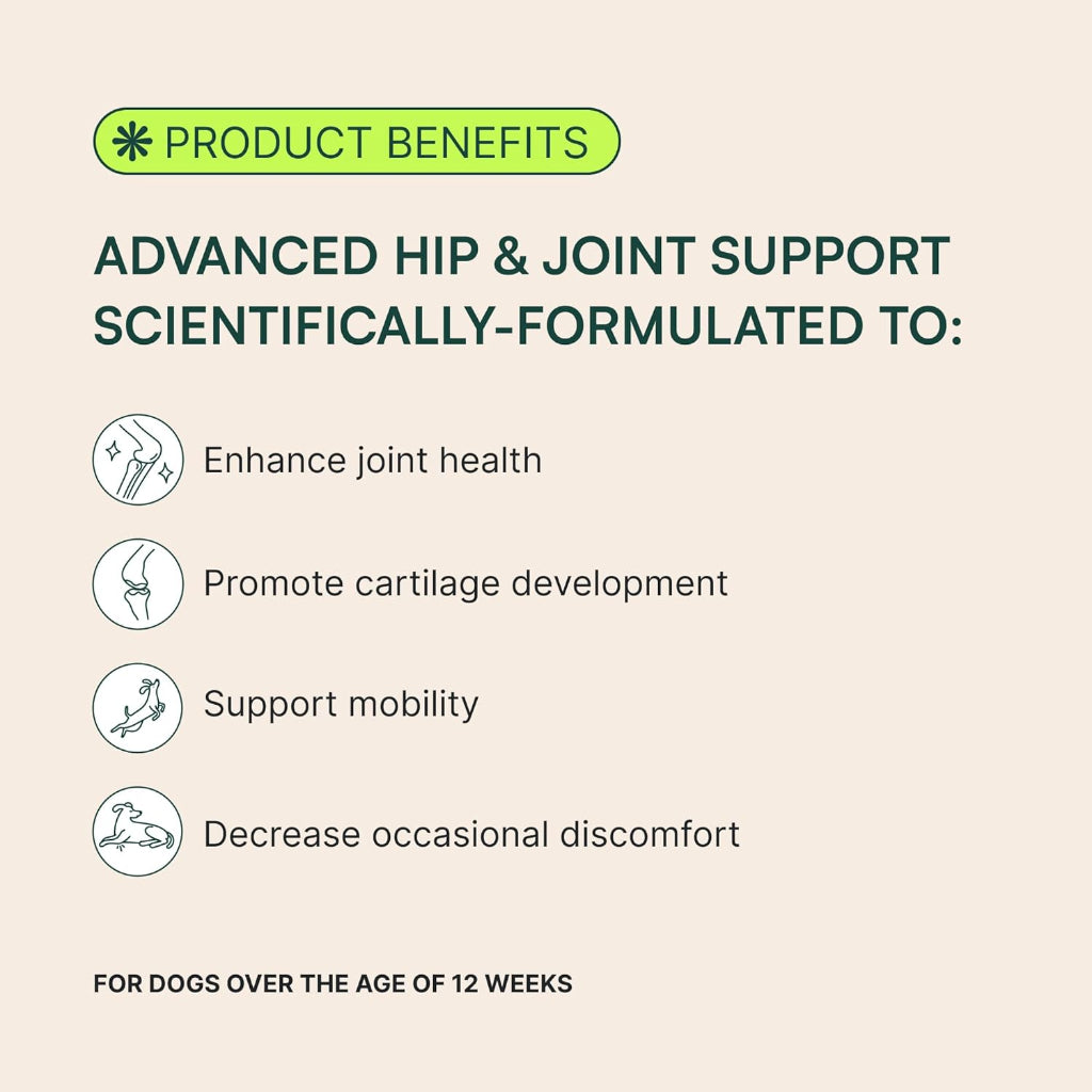 Premium Hip & Joint Chews for Small & Medium Dogs - Advanced Formula with Glucosamine, Chondroitin, Omega 3, MSM & Green Lipped Mussel - 60 Delicious Pork Flavored Soft Chews
